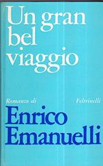 Un gran bel viaggio. Romanzo