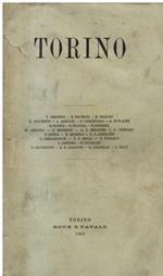 Torino 1880