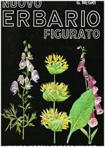 Nuovo erbario figurato. Descrizione e proprietà delle piante medicinali e velenose della flora italiana con cenni sulle principali specie dell'Africa settentrionale e orientale. Quarta edizione
