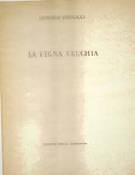 La vigna vecchia