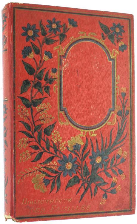 Les EXIlés Dans la Foret. Aventures d'Une Famille Péruvienne au Milieu des Déserts de l'Amazone - copertina