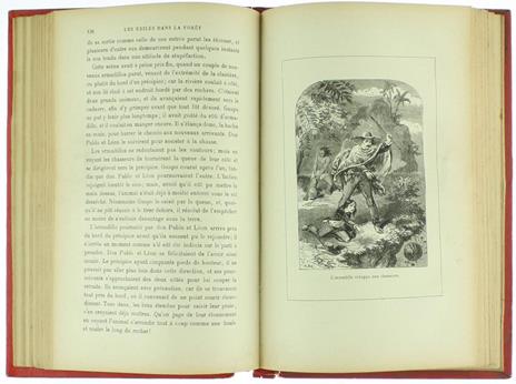 Les EXIlés Dans la Foret. Aventures d'Une Famille Péruvienne au Milieu des Déserts de l'Amazone - 2