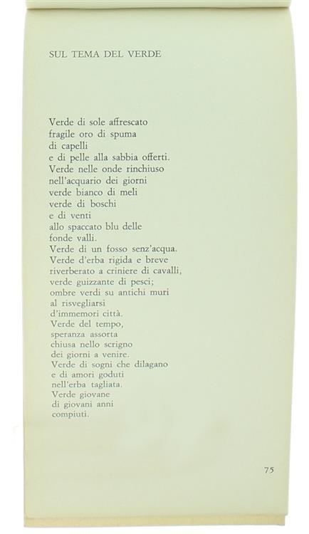Metapoesia - Lucrezia Pongan - 2