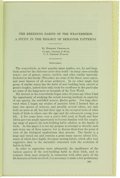 Bergoglio Libri d'Epoca Snc