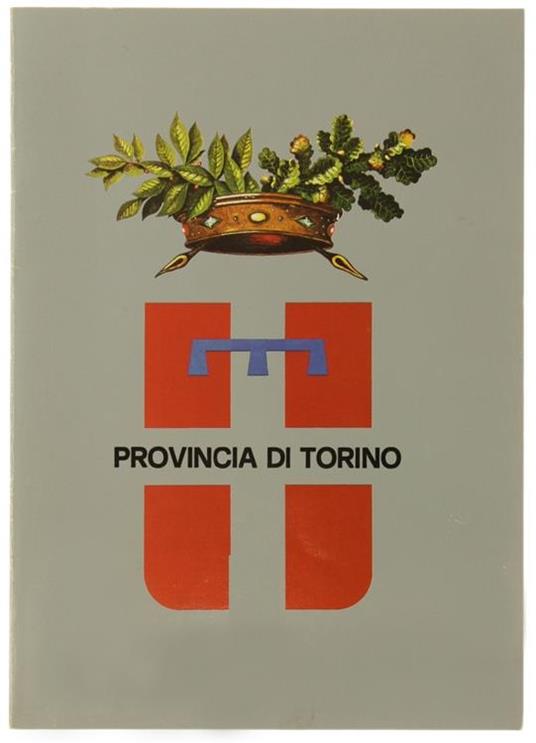 Provincia di Torino. Storia Ruolo Funzioni - Rosaria Pagani - copertina