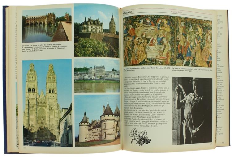 Vini Stranieri. la Mia Cantina. per Bere Bene, Come, Dove, Quando