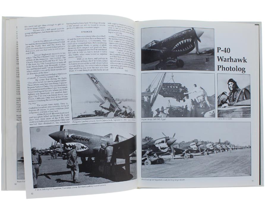 The P-40 Warhawk