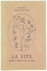 La Vita. Sbarre di Ferro tra Luci ed Ombre