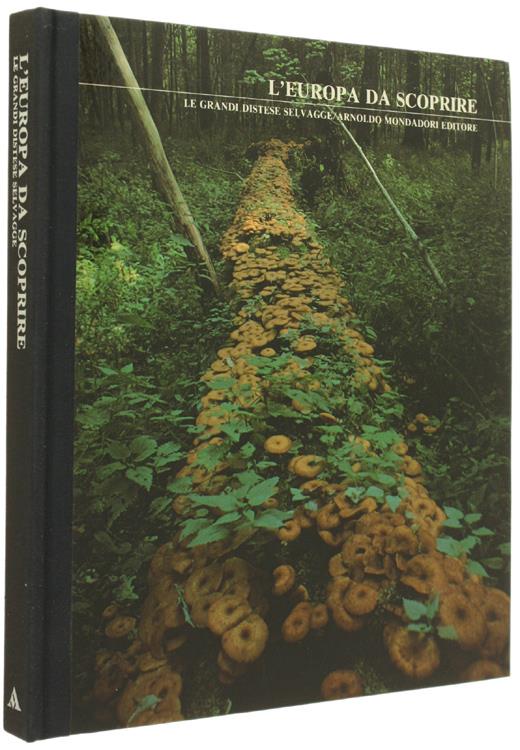 Bergoglio Libri d'Epoca Snc