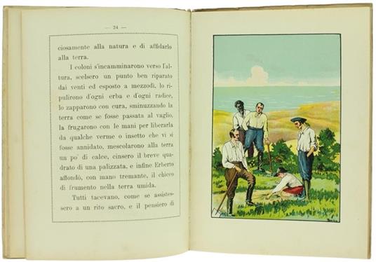 Un Chicco di Grano - E. Fabietti - 2