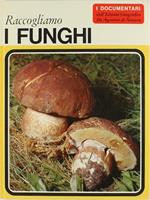 Raccogliamo i Funghi