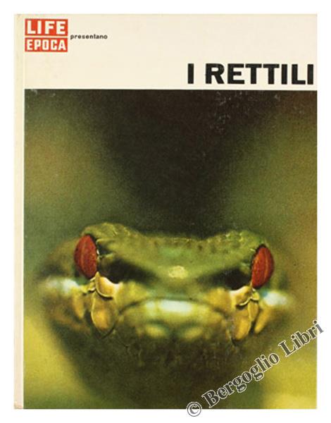 Bergoglio Libri d'Epoca Snc
