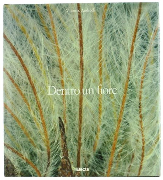 Dentro un Fiore - Vittorino Andreoli - copertina