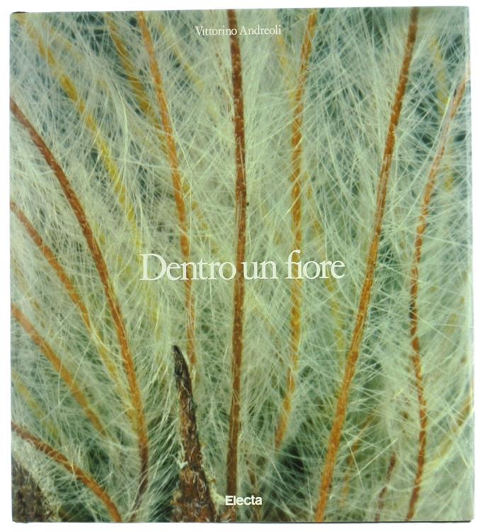 Bergoglio Libri d'Epoca Snc