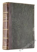 Cavalieri Armi ed Amori. Romanzo del Secolo XVII