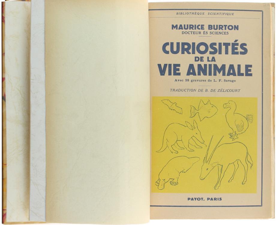 Curiosites de la Vie Animale. Avec 38 Gravures de L.F.Savage