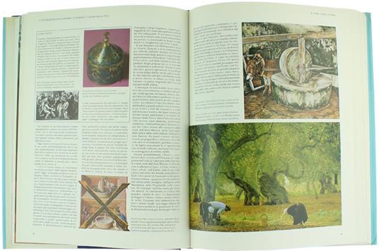 Civiltà del Mediterraneo. Chi siamo e come eravamo. Il fascino delle nostre origini - Giancarlo Buzzi - 2