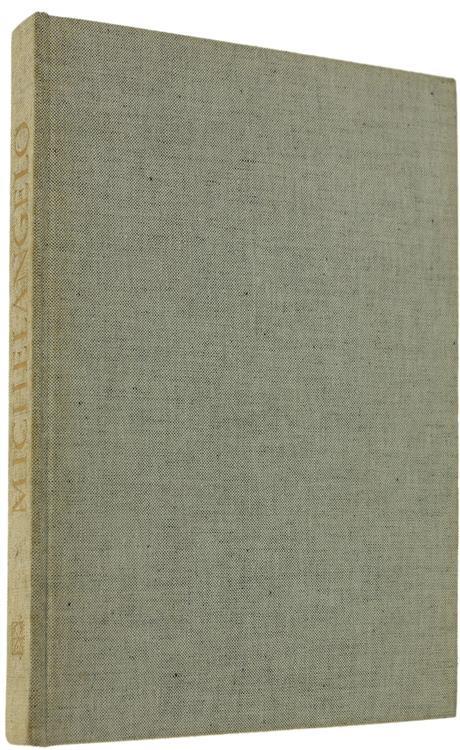 Michelangelo Pittore - Frederick Hartt - copertina
