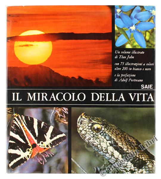 Bergoglio Libri d'Epoca Snc