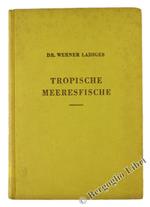 Tropische Meeresfische. Arten Lebensweise und Haltung
