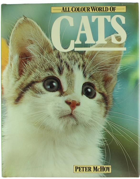 Bergoglio Libri d'Epoca Snc