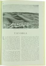 Tauorga