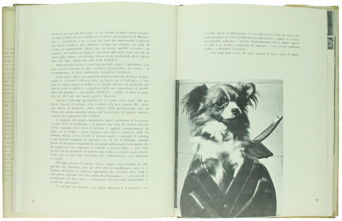 Un Piccolo Zoo nel Vostro Salotto