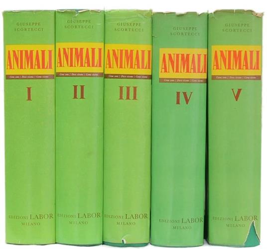 Animali. Come Sono. Dove Vivono. Come Vivono - Giuseppe Scortecci - 2
