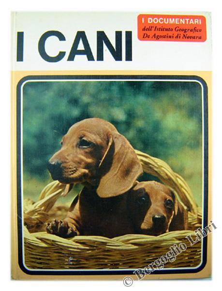 I Cani - Adriano Torregrossa - copertina