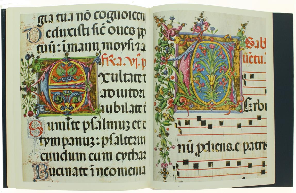 L' Osservanza di Siena