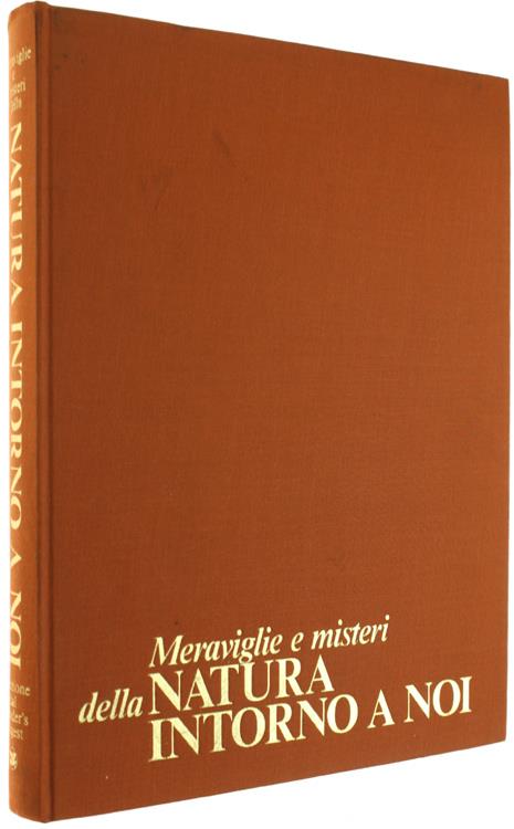 Bergoglio Libri d'Epoca Snc