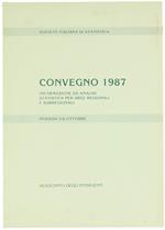 Convegno 1987. Informazione ed Analisi Statistica per Aree Regionali e Subregionali. Perugia 5-6 Ottobre