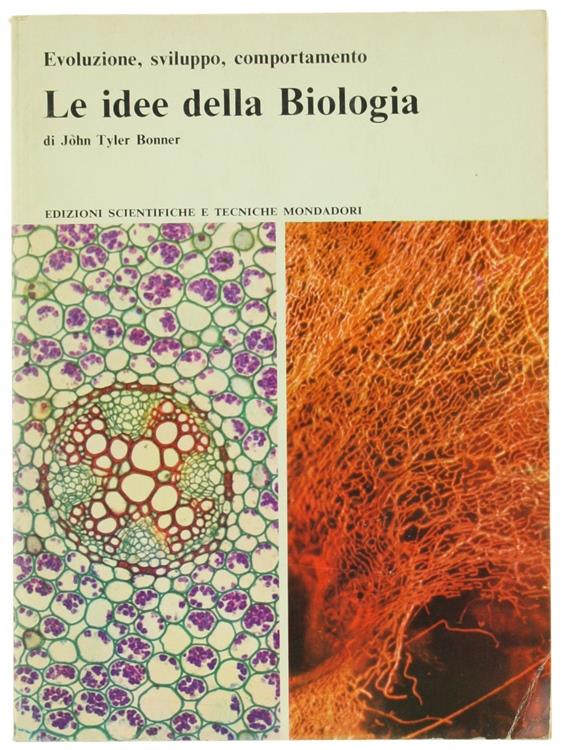 Bergoglio Libri d'Epoca Snc