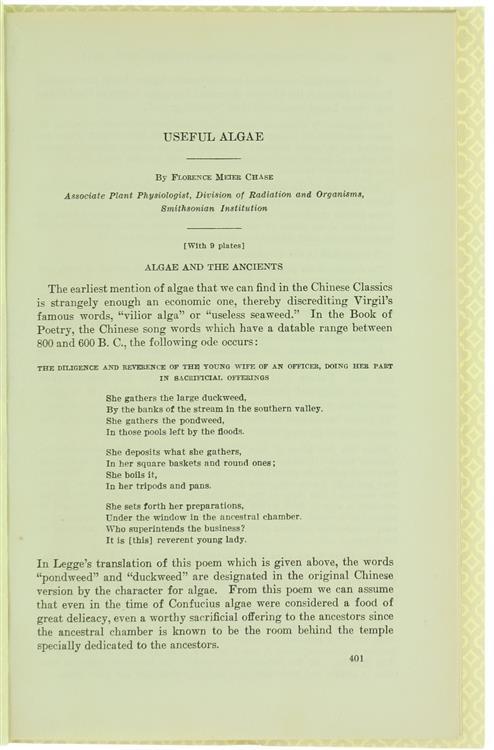 Useful Algae - Florence Meter Chase - copertina