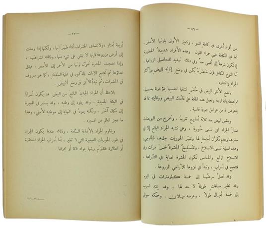 Almeotalaete - Ammad Mohmad Olhofi - 2