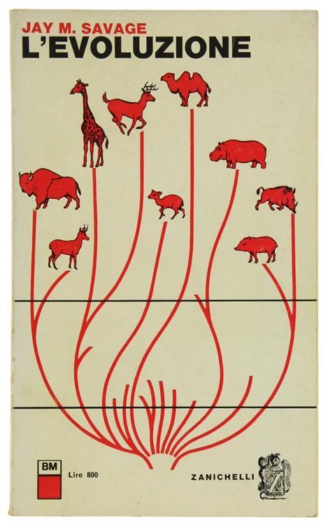 L' evoluzione - Jay M. Savage - copertina