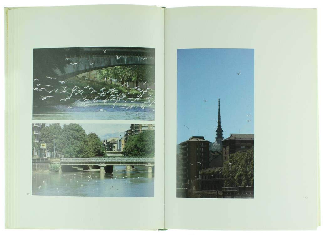 Torino "Immagini... Parole... Inedito Di Una Città"