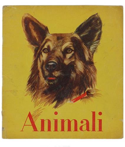 Animali. Illustrazioni Di Ferdinando Tolomelli E Carla Bassi - A. Cremonini Ongaro - copertina