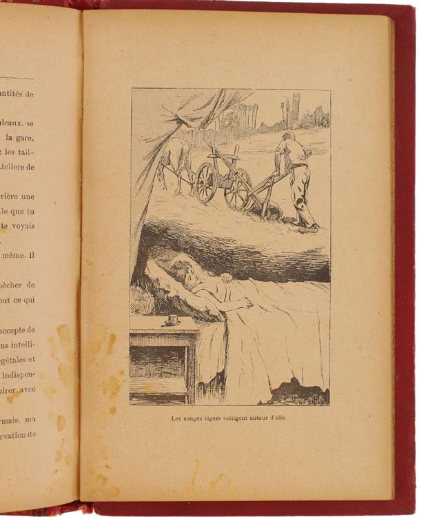 Les Memoires D'Une Aiguille