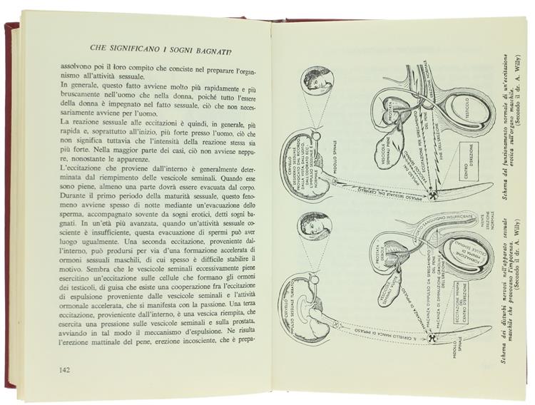 L' Applicazione Della Tecnica Sessuale