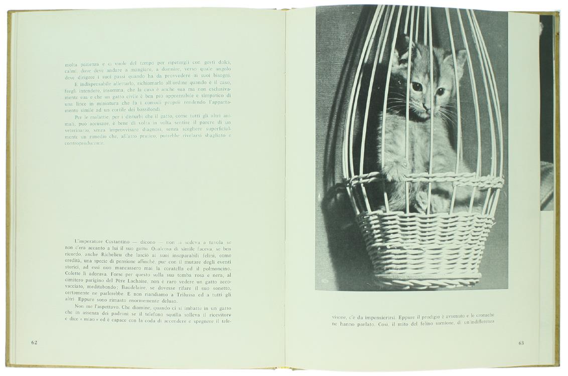 Un Piccolo Zoo Nel Vostro Salotto