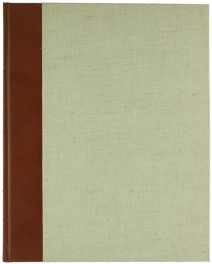 Il Duomo Di Modena - Roberto Salvini - copertina