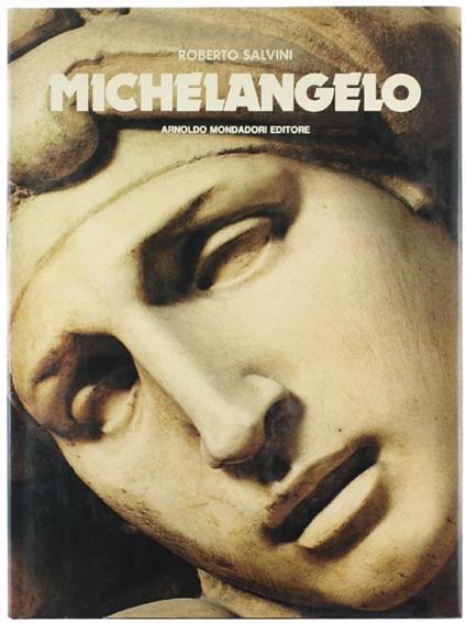 Michelangelo - Roberto Salvini - copertina
