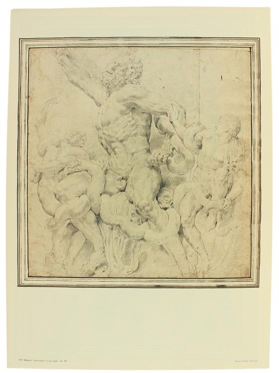 Pietro Paolo Rubens. I Disegni Dell'Ambrosiana