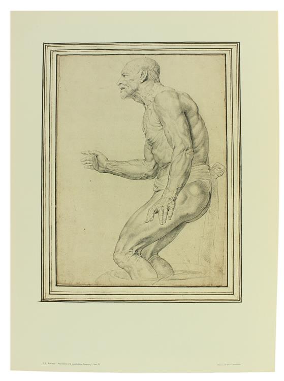 Pietro Paolo Rubens. I Disegni Dell'Ambrosiana