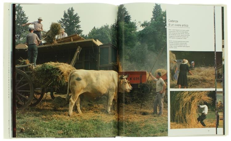 Francia. La douceur de vivre. Ediz. illustrata