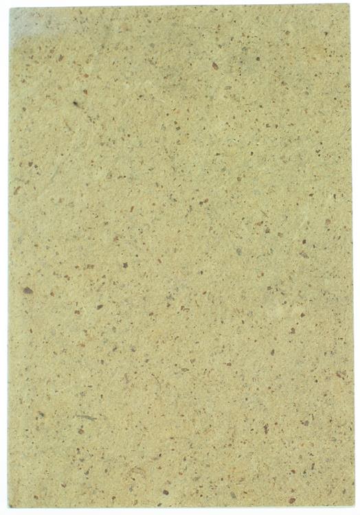 Virgin, Muse, Heroine. Seventeenth And Eighteenth Century Italian Paintings