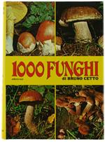 1000 Funghi