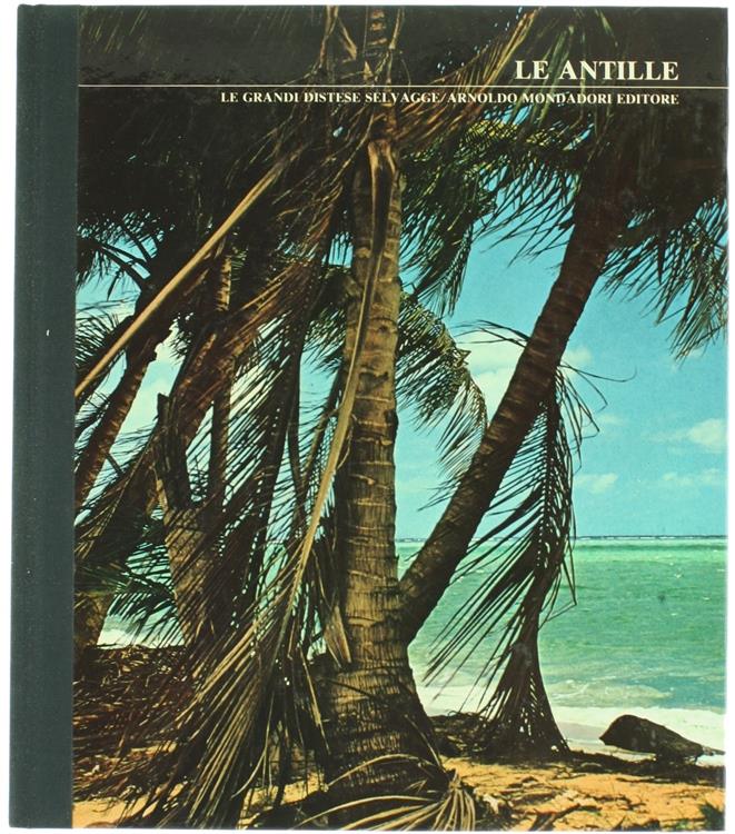 Bergoglio Libri d'Epoca Snc