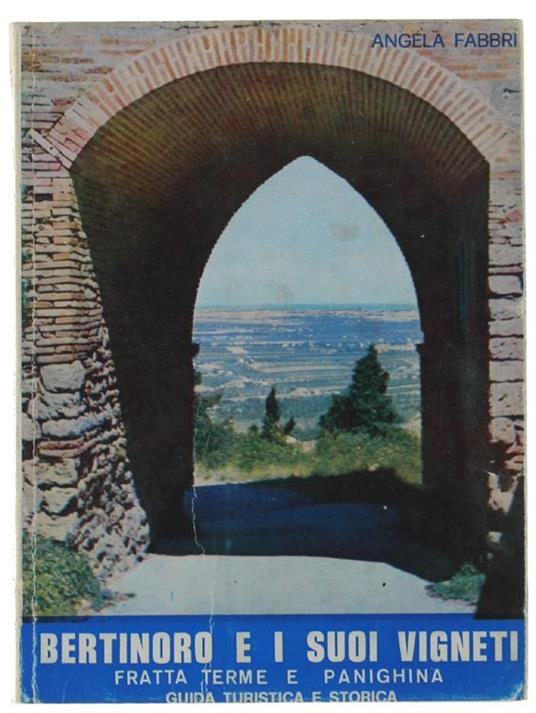 Bertinoro E I Suoi Vigneti, Fratta Terme E Panighina. Guida Turistica E Storica - Angela Fabbri - copertina
